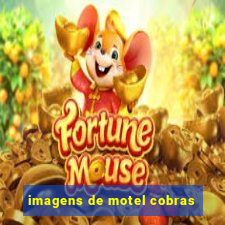 imagens de motel cobras